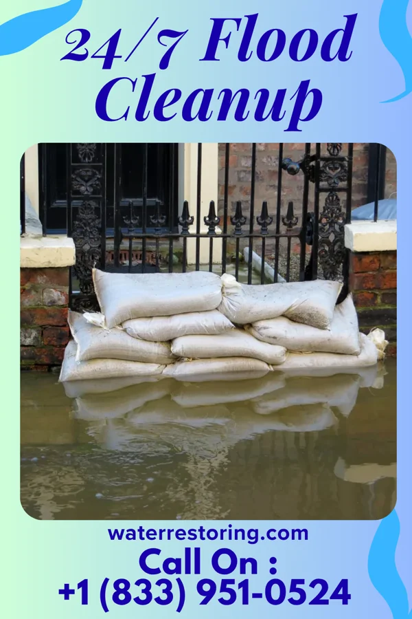 24/7 Flood Cleanup in Ravanna, MO