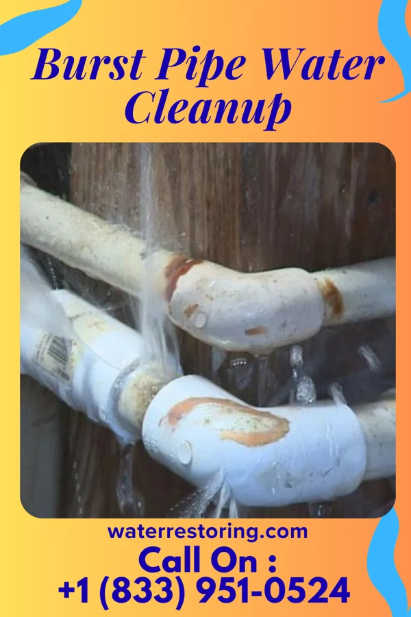 Burst Pipe Water Cleanup in Ravanna, MO