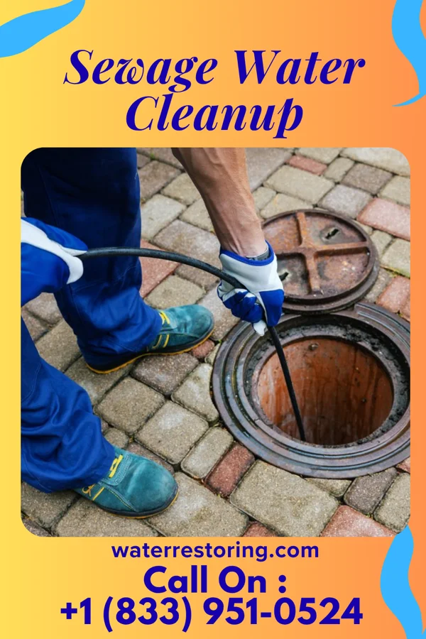 Sewage Water Cleanup in Ravanna, MO